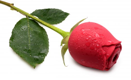 Wild Rose 10X Suction Clit Stimulator